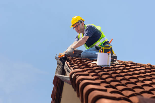 Best Gutter Installation and Repair  in Ladysmith, WI